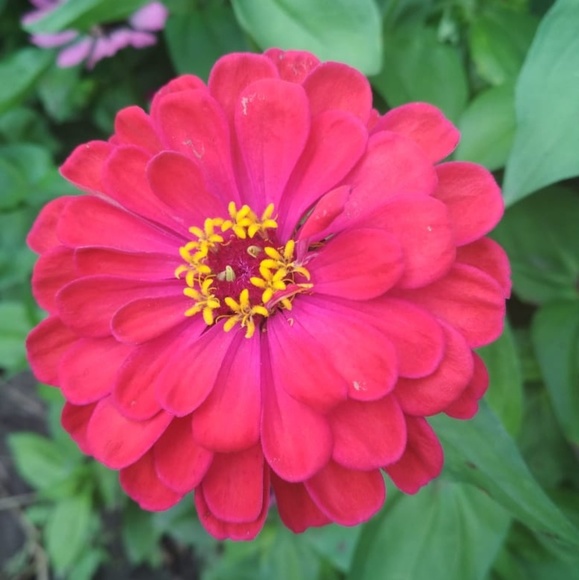 Meet your Posher, Marina - Picture 2 of 2